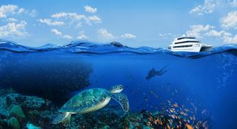 The Winter of Wonders Cruise at The Four Seasons Resort Maldives is an Awesome Way to Fulfill a Variety of Lifetime Wishes