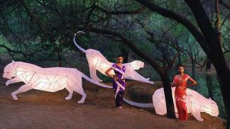 RoaR by Shanti Banaras - In Search of a Tiger Utopia