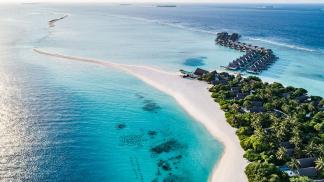 Dive into the Ultimate Marine Spectacle - Experience Manta Magic at Four Seasons Resort Maldives at Landaa Giraavaru