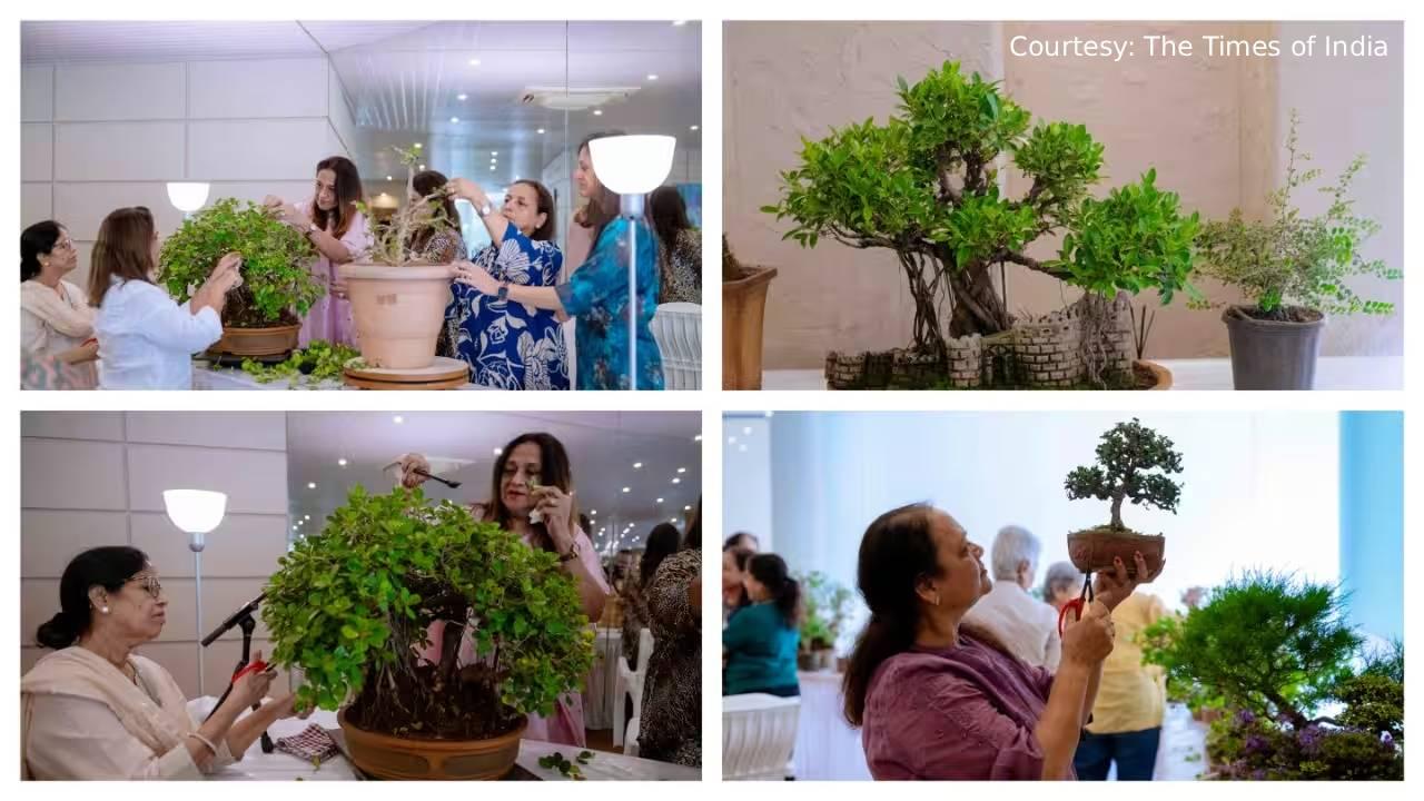 The Patience Premium: What Mumbai's Bonsai Circle Reveals About Luxury in a Vertical City