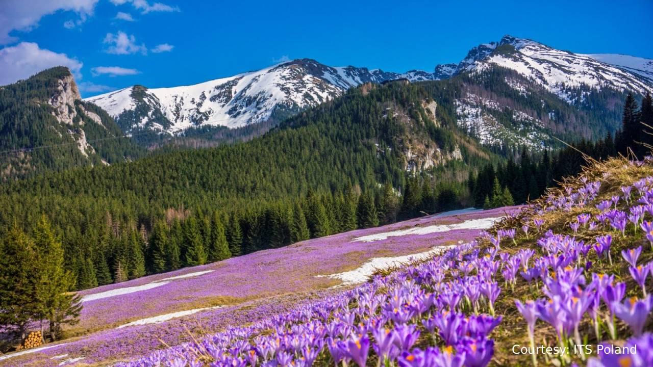 The Tatras: Why Poland's Forbidden-to-Develop Mountains Are Europe's Last Honest Alpine Escape