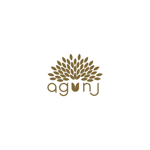 Agunj by Gunjan Arora